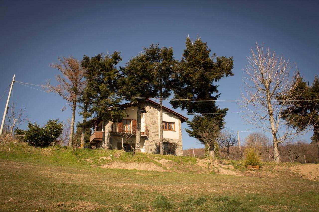 B&B Vista Casentino Pratovecchio Exterior foto