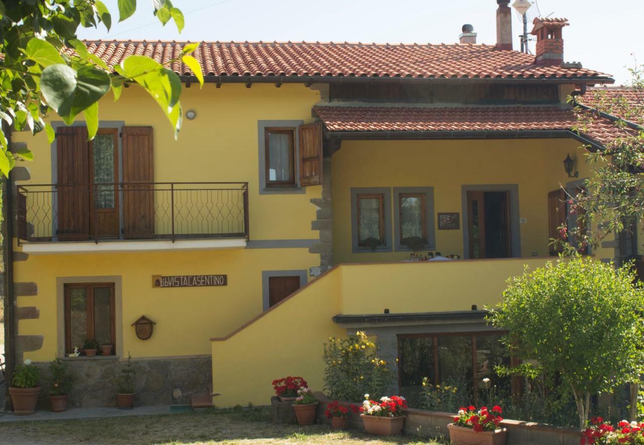 B&B Vista Casentino Pratovecchio Exterior foto
